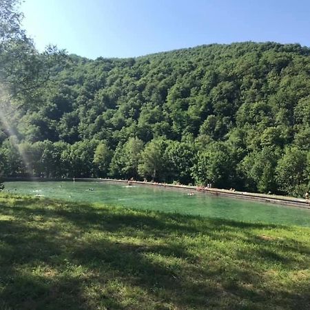 Apartman Kosuta 2 Tjentiste Buitenkant foto