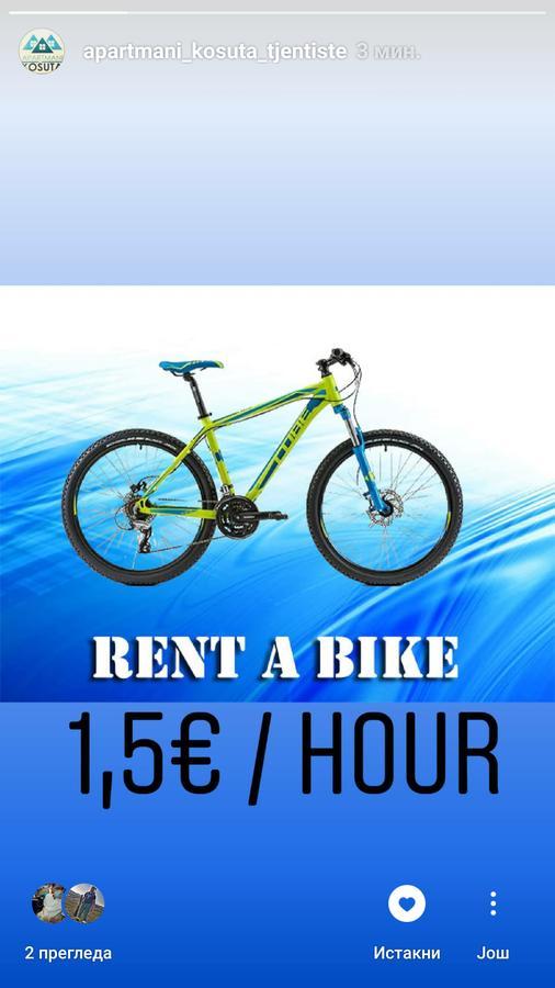Apartman Kosuta 2 Tjentiste Buitenkant foto